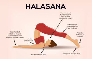Reduce Belly Fat and Improve Health with Halasana Yoga Pose